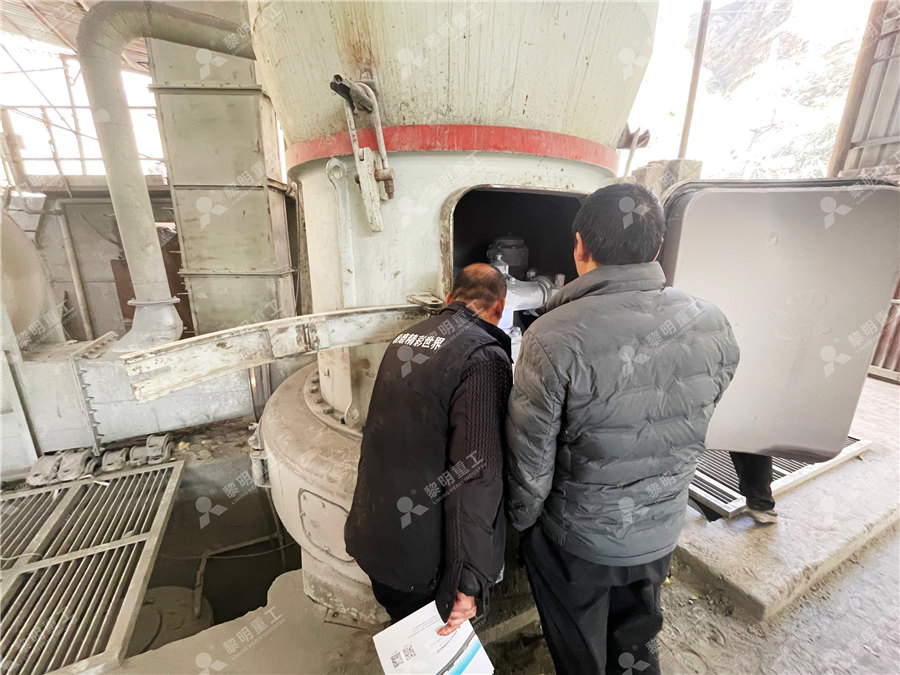 فويانغ ليوي معدات مسحوق التلك Raymond Mill Co., Ltd.  